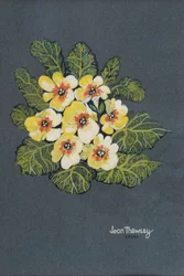 De Gele Sleutelbloem